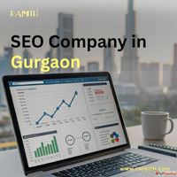 SEO Company in Gurgaon