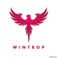 Wintropkochi
