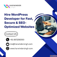 Hire WordPress Developer for Custom Website Development