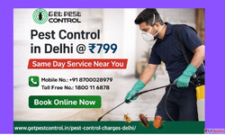 Pest Control Charges in Delhi Affordable Price List 2026