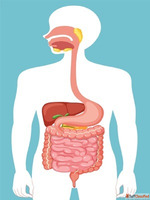 Best Gastroenterologist in Ahmedabad for Digestive Health Ca...