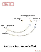 Best Endotracheal Tubes Exporters Worldwide