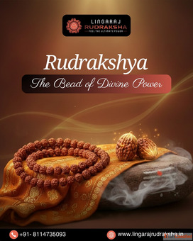 Lingaraj Rudraksha - Trusted Rudraksha Shop in Bangalore