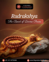 Lingaraj Rudraksha - Trusted Rudraksha Shop in Bangalore