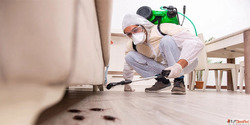 Best Pest Control Services in Hyderabad - AJL Pest Control