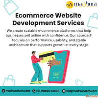 Expert Custom Ecommerce Website Development Services in Coim...