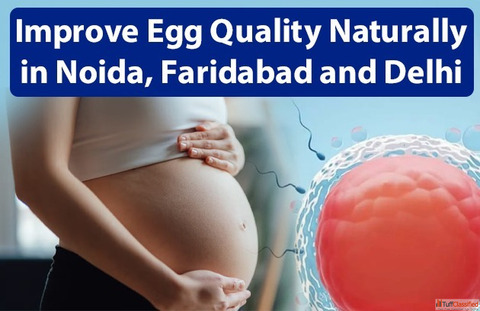 natural ways to improve egg quality in Delhi