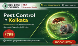 Pest Control in Kolkata at Best Price Safe Fast Service