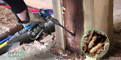 Professional Commercial Pest Control in Noida - Built for Bu...