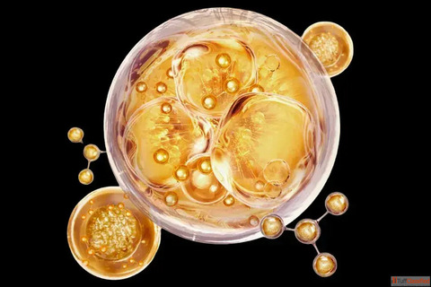 The PDRN Engine Advanced Biological Skincare Science