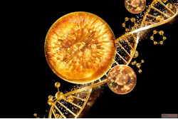 Biomimetic Peptides The Cellular Language of Skin Rejuvenati...