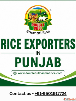 Rice Exporters in Punjab