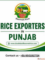 Rice Exporters in Punjab