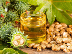 Certified Castor Oil Manufacturers in India Nova Industries