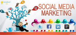 Best Social Media Agency in Patna - Candent SEO