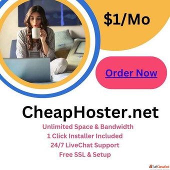 Best 1 Hosting Services