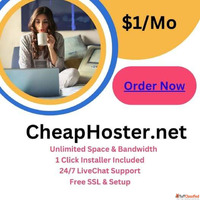 Best 1 Hosting Services