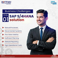 SAP S4HANA ERP Solutions in India Softwin Technologies