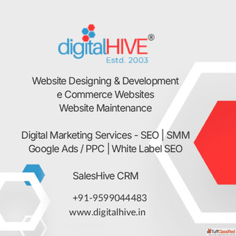 Website Design Packages That Build Strong Online Presence