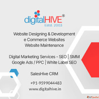 SEO Packages in India That Help Your Business Rank Higher