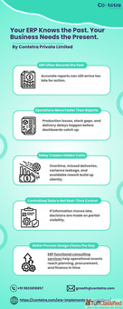 ERP Functional Consulting Services