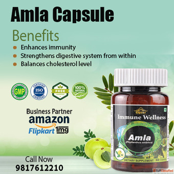 Cipzer Amla Capsule for Healthy Hair Skin Immunity