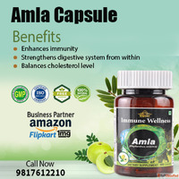Cipzer Amla Capsule for Healthy Hair Skin Immunity