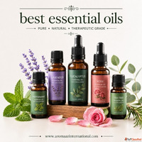 Which Company Offers the Best Essential Oils for B2B Buyers