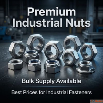 Purchase Premium Nuts in Bulk at Best Prices Today