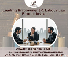 Leading Employment Labour Law Firm in India