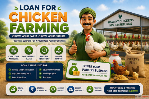 Poultry Farm Loan in India for Modern Farming Business Expansion