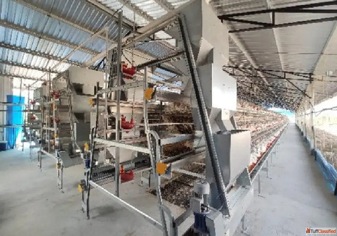 High-Performance Layer Cage Systems for Modern Poultry Farms