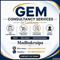GEM Consultancy Services in Lucknow