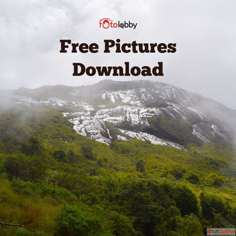 Free Pictures Download