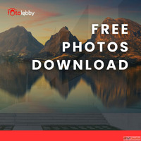 Free Photos Download