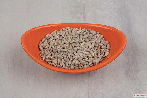 Sunflower Seeds Manufactures