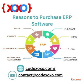 Reasons to Purchase ERP Software