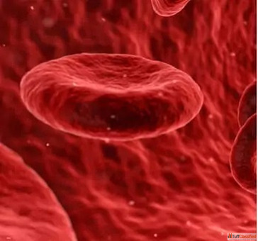 Hematologist in Hyderabad