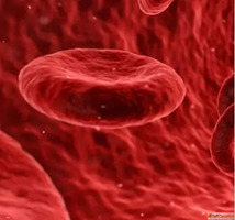 Hematologist in Hyderabad