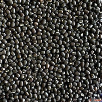 Pulses Importers - Chokadi Brokers