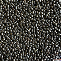 Pulses Importers - Chokadi Brokers