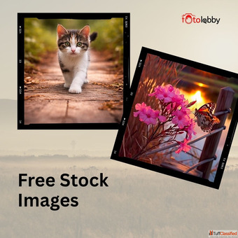 Free Stock Images