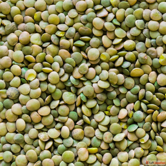Best Pulses Suppliers in India - Chokadi Brokers