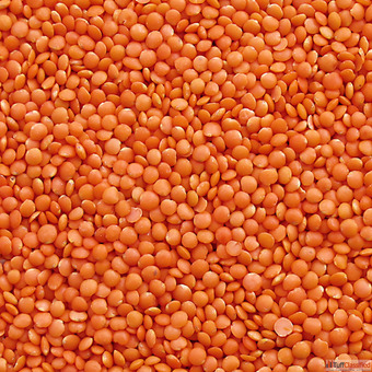 Bulk Pulses Suppliers in India Chokadi Brokers