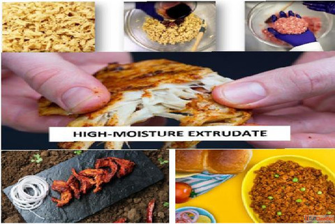 Advanced Rice Fortification Training for Food Safety and Nutrition Excellence