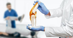 Advanced Healthcare Services and Expert Surgical Care in Roh...