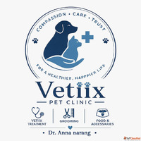 Vetiix Pet Clinic Best Veterinary Clinic in Zirakpur