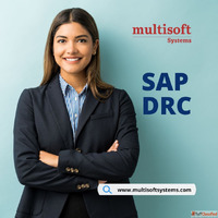 SAP DRC Online Training Program - Get Certified from Top Ins...