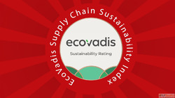 EcoVadis Supply Chain Sustainability Trends in ESG Procureme...