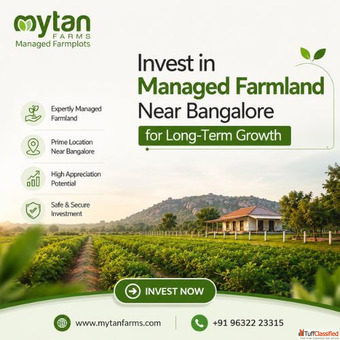 Top Managed Farmland Near Bangalore for Long-Term Growth